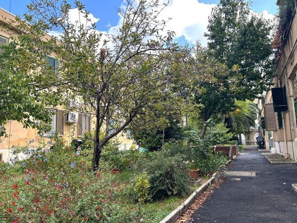 appartamento in affitto a Roma in zona Monte Sacro/Talenti