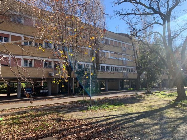 appartamento in affitto a Roma in zona Parioli