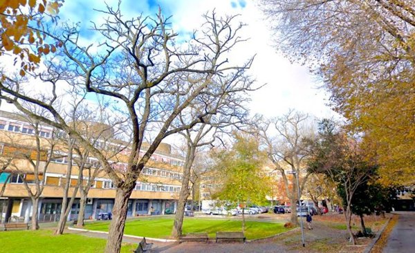 appartamento in affitto a Roma in zona Flaminio