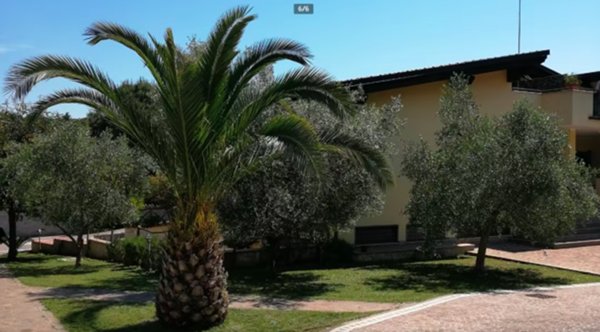 appartamento in affitto a Roma in zona Castel di Leva