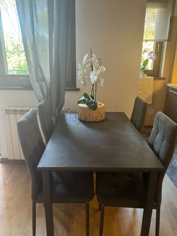 appartamento in affitto a Roma in zona Casal Palocco