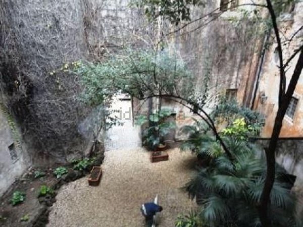 appartamento in affitto a Roma in zona Campo Marzio