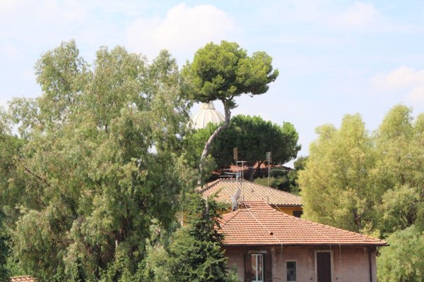appartamento in affitto a Roma in zona Ostiense