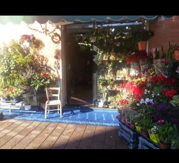 negozio in affitto a Roma in zona Torre Maura