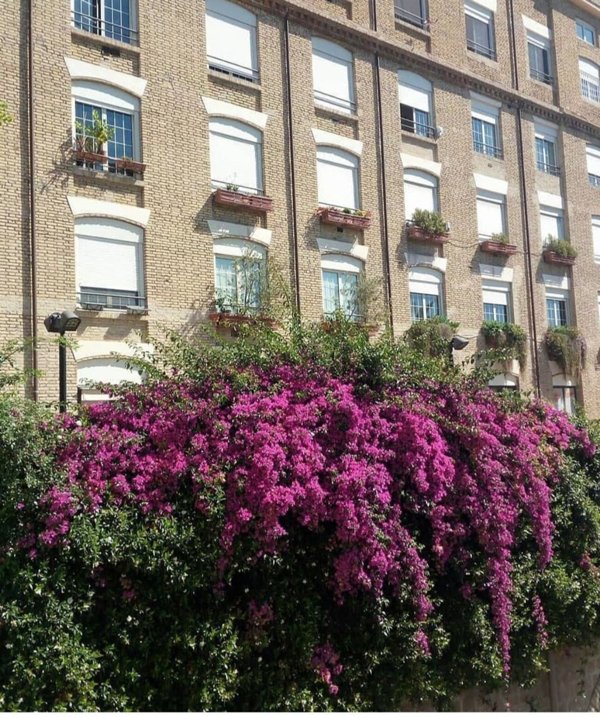 ufficio in affitto a Roma