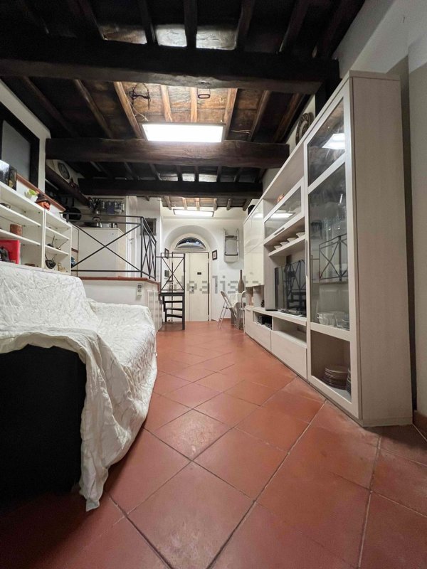 appartamento in affitto a Roma in zona Campo Marzio