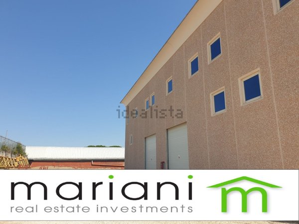 capannone in affitto a Roma in zona Tor Vergata/Torrenova