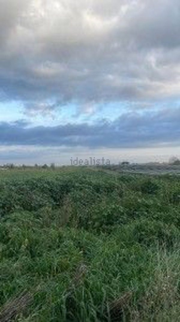 terreno agricolo in affitto a Roma in zona Corviale