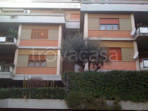 appartamento in affitto a Roma in zona Monte Sacro/Talenti