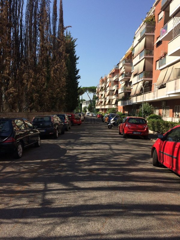 appartamento in affitto a Roma in zona Monte Sacro/Talenti