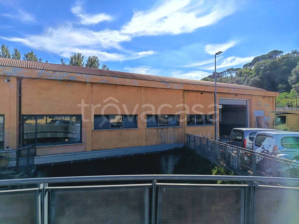 locale commerciale in affitto a Roma in zona Grottarossa