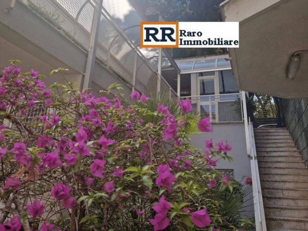 appartamento in affitto a Roma in zona Parioli