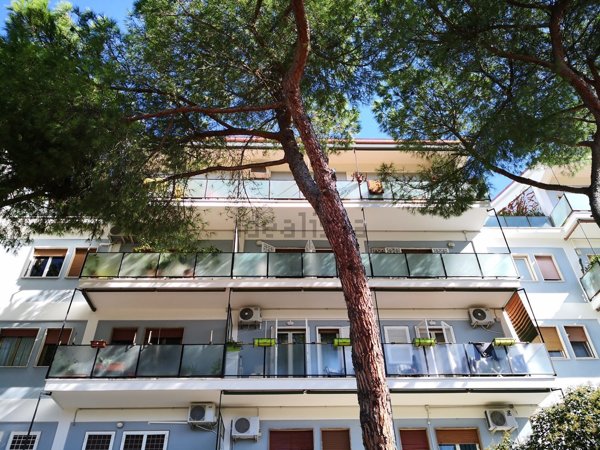 appartamento in affitto a Roma in zona Torrevecchia