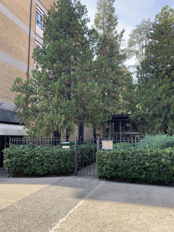 appartamento in affitto a Roma in zona Gianicolense