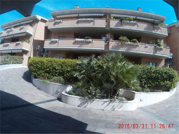 appartamento in affitto a Roma in zona Collatino