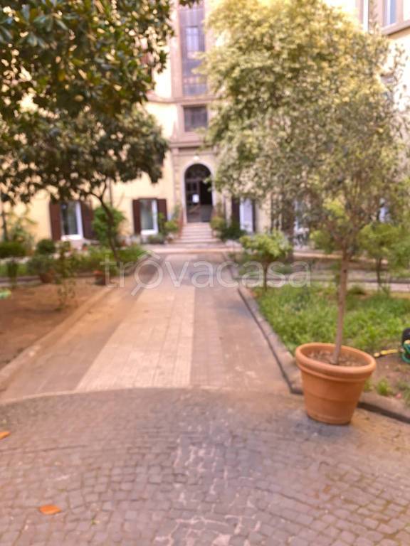 appartamento in affitto a Roma in zona Flaminio