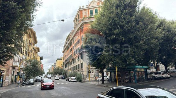 negozio in affitto a Roma in zona Trieste