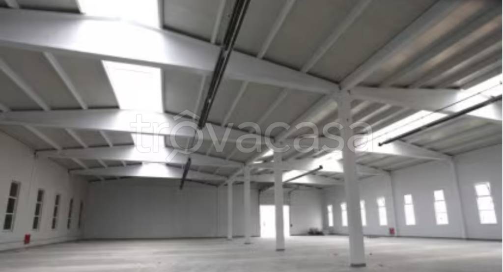 negozio in affitto a Roma in zona San Basilio