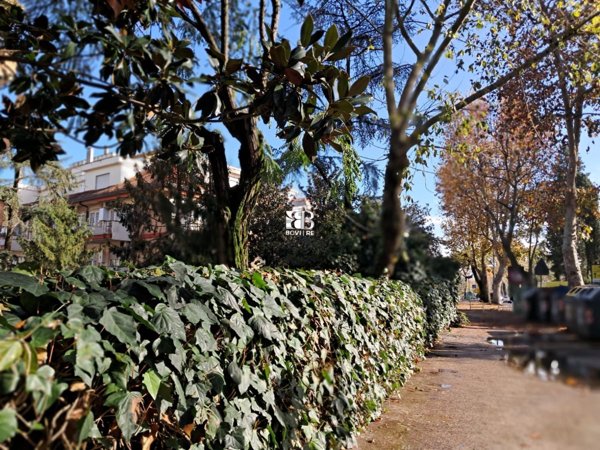 appartamento in affitto a Roma in zona Tor di Quinto