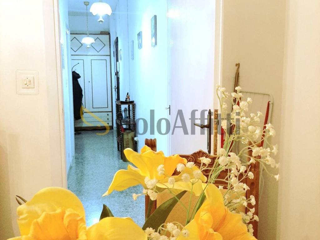 appartamento in affitto a Roma in zona Collatino