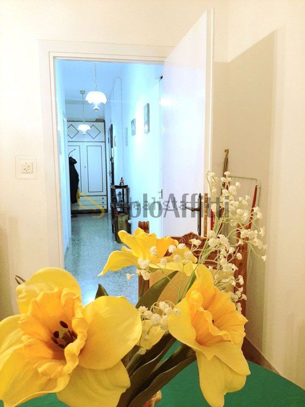 appartamento in affitto a Roma in zona Collatino