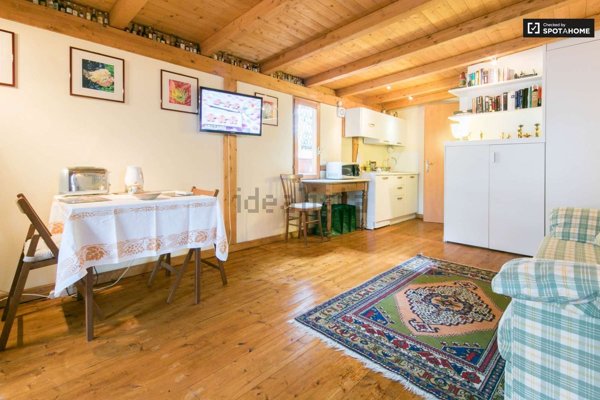 appartamento in affitto a Roma in zona Appio Latino