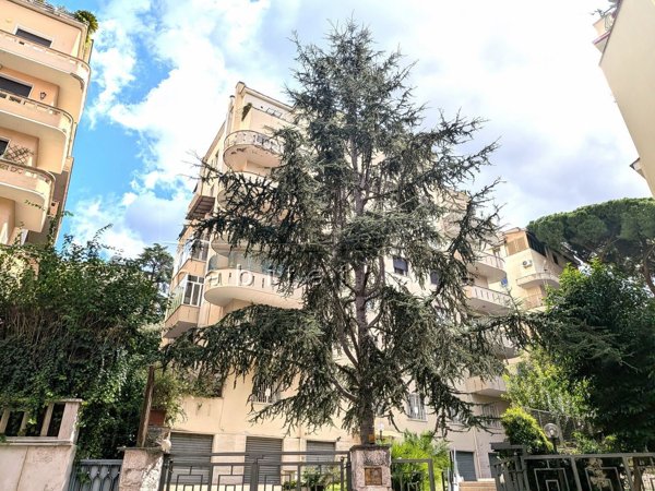 appartamento in affitto a Roma in zona Parioli