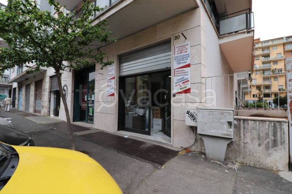 casa indipendente in affitto a Roma in zona Trieste