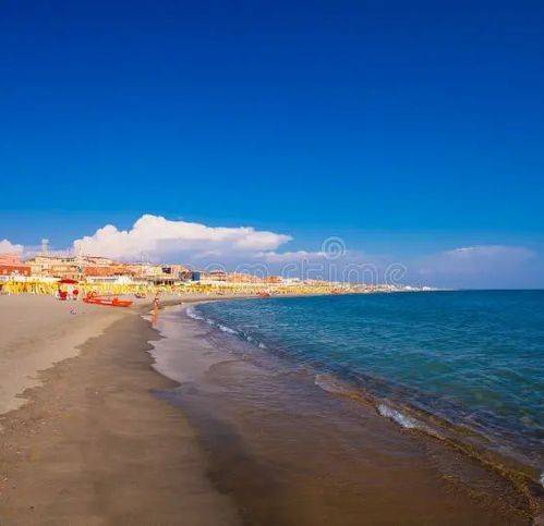 appartamento in affitto a Roma in zona Ostia