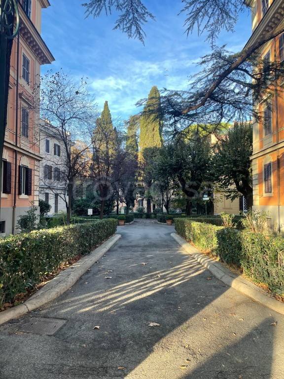 appartamento in affitto a Roma in zona Flaminio