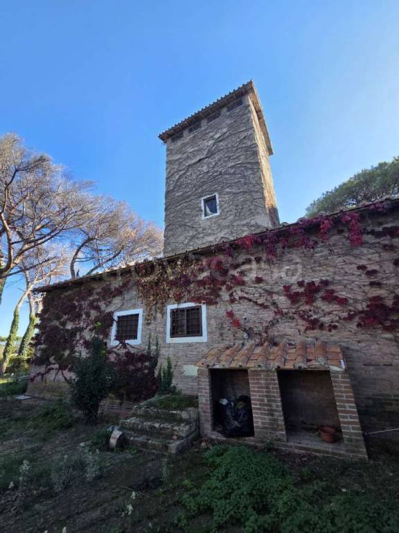 attico in affitto a Roma in zona Castel di Guido