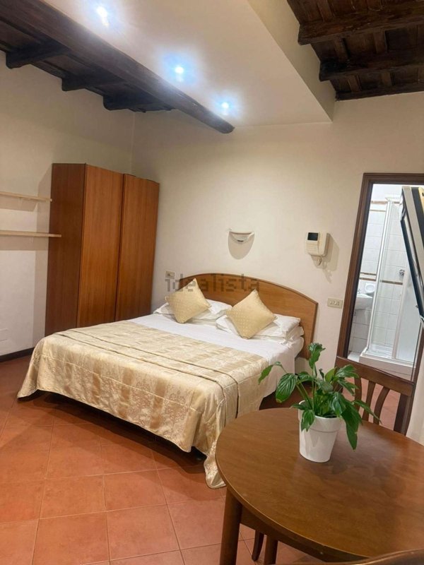 appartamento in affitto a Roma in zona Campo Marzio