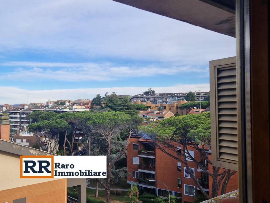 appartamento in affitto a Roma in zona Mostacciano