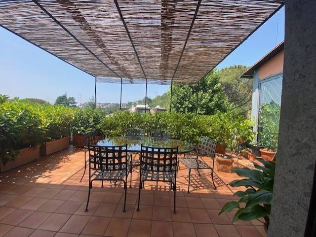 appartamento in affitto a Roma in zona Grottarossa