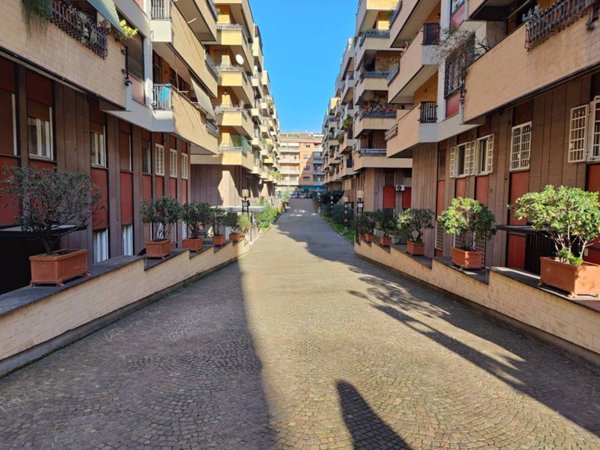 appartamento in affitto a Roma in zona Monte Sacro/Talenti