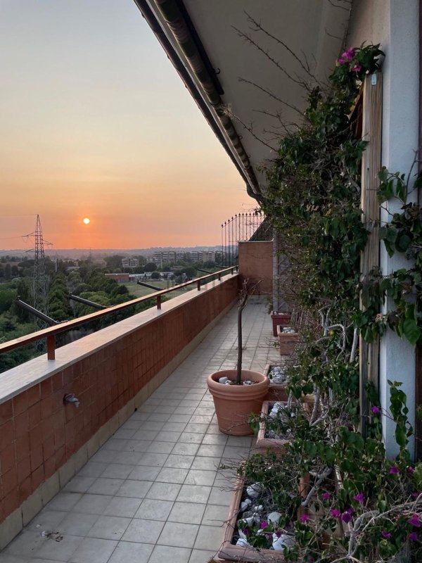 appartamento in affitto a Roma in zona Torrino