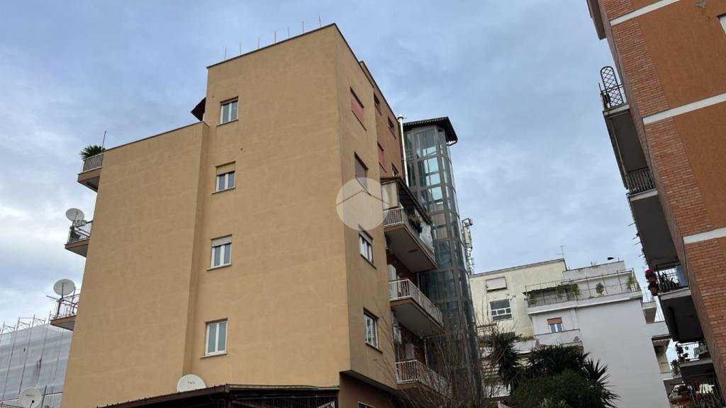 appartamento in affitto a Roma in zona Trionfale