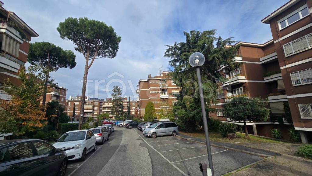 appartamento in affitto a Roma in zona Salario