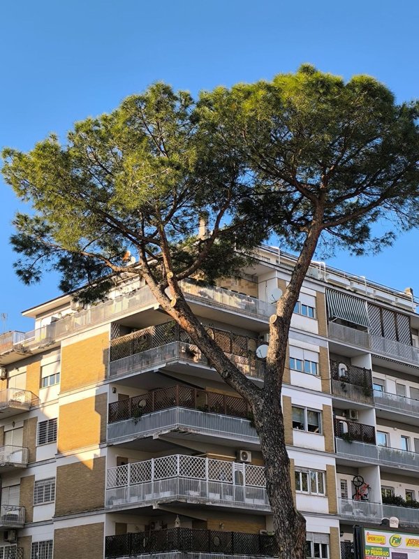 appartamento in affitto a Roma in zona Tor di Quinto