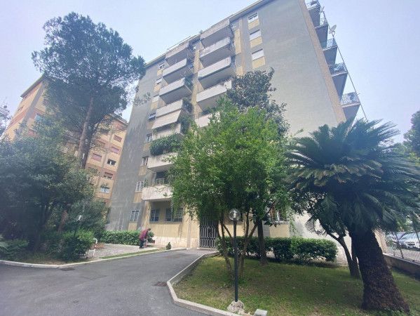 appartamento in affitto a Roma in zona Monte Sacro/Talenti
