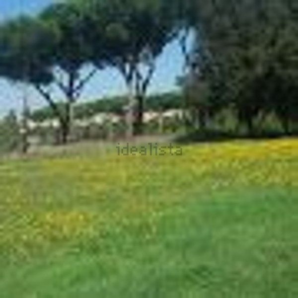 appartamento in affitto a Roma in zona Collatino