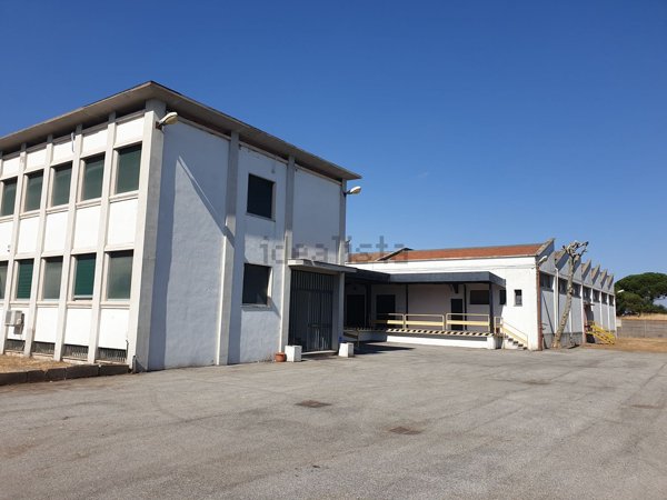 capannone in affitto a Roma in zona Collatino