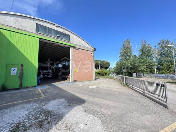 locale commerciale in affitto a Roma