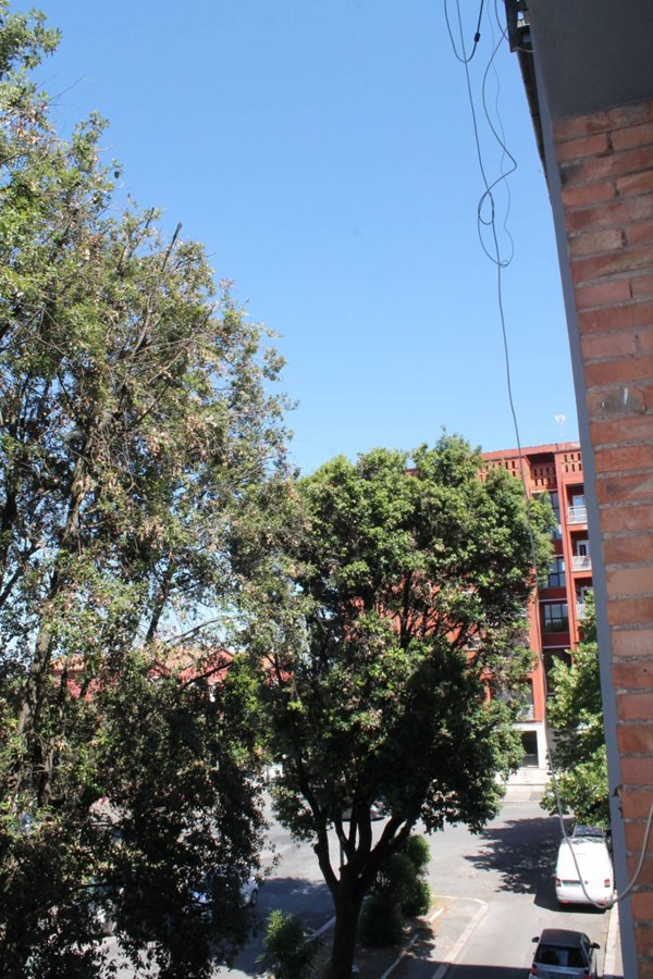 appartamento in affitto a Roma in zona Acilia