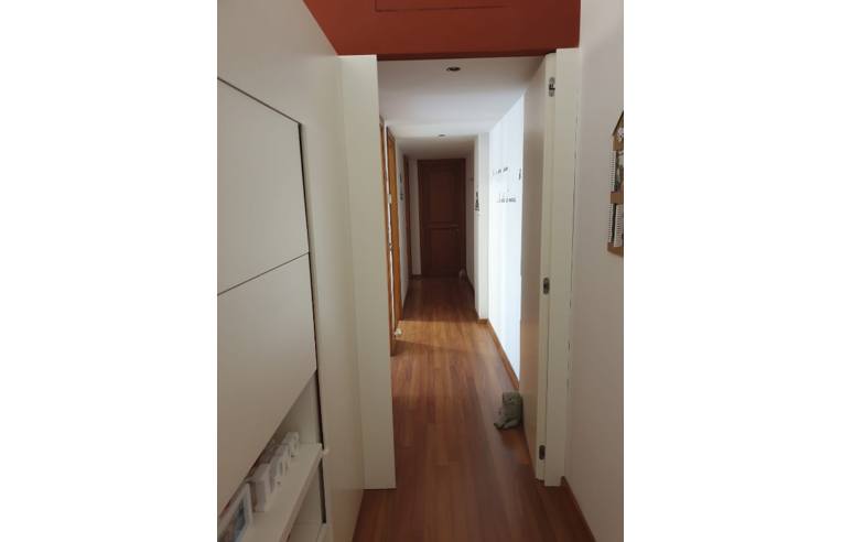 appartamento in affitto a Roma in zona Tuscolano