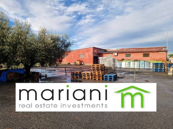 locale commerciale in affitto a Roma in zona Ardeatino