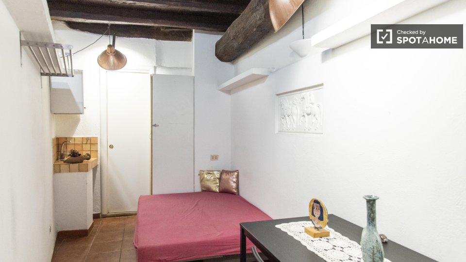 appartamento in affitto a Roma in zona Trastevere