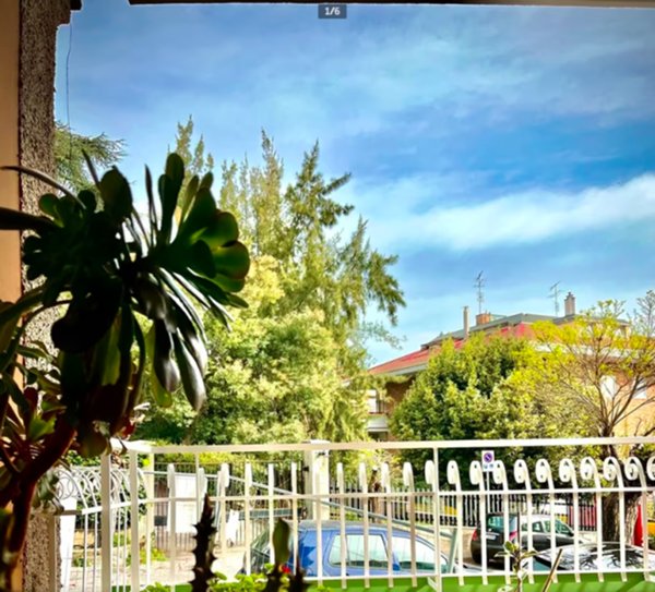 appartamento in affitto a Roma in zona Flaminio