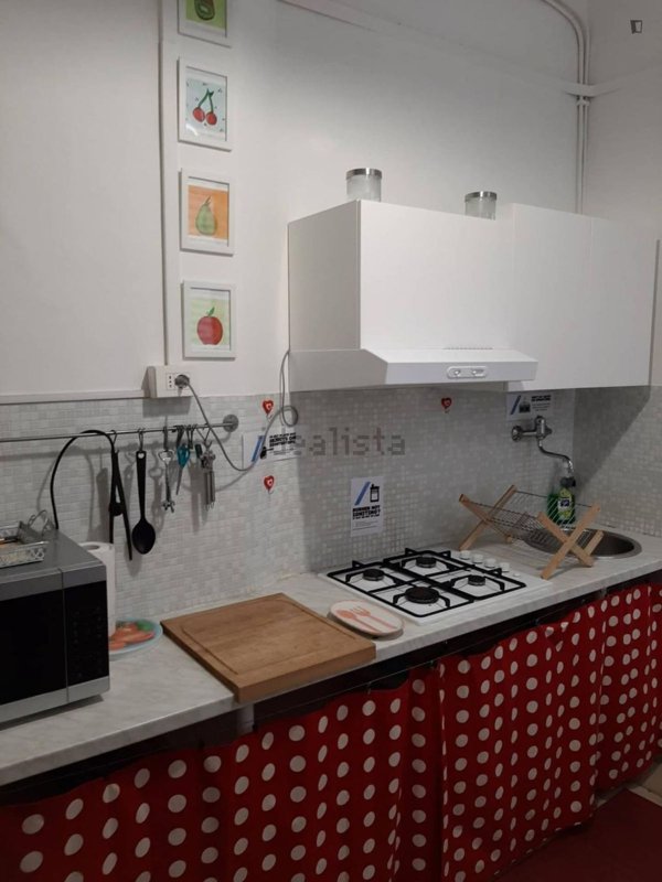 appartamento in affitto a Roma in zona Campo Marzio