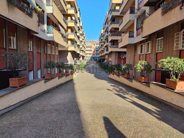 appartamento in affitto a Roma in zona Monte Sacro/Talenti